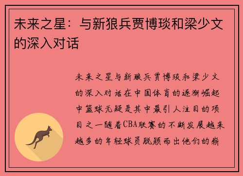 未来之星：与新狼兵贾博琰和梁少文的深入对话