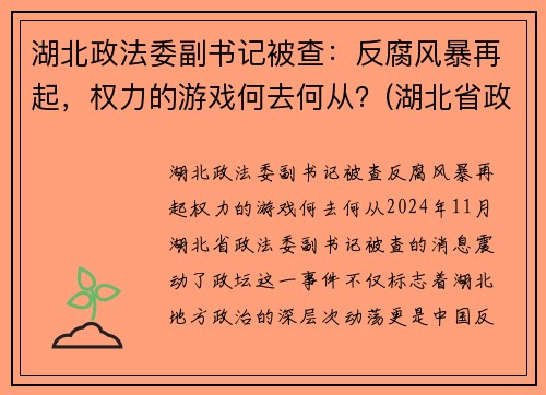 湖北政法委副书记被查：反腐风暴再起，权力的游戏何去何从？(湖北省政法委副书记)