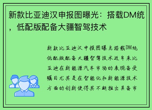 新款比亚迪汉申报图曝光：搭载DM统，低配版配备大疆智驾技术